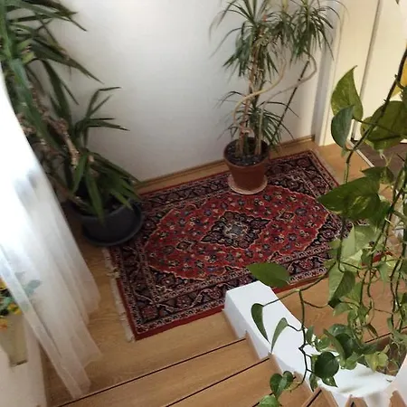 Apartment Haus Gisella
